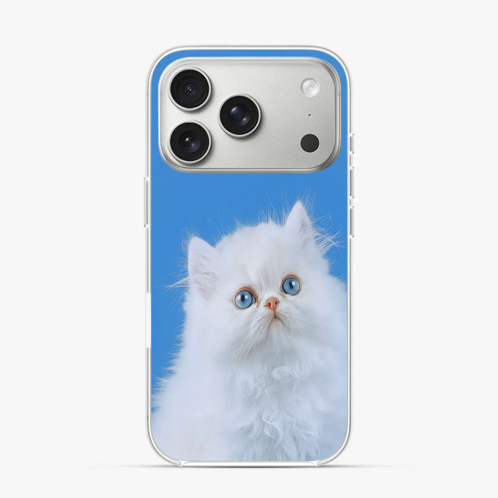 Nine Lives iPhone 17 Pro Case