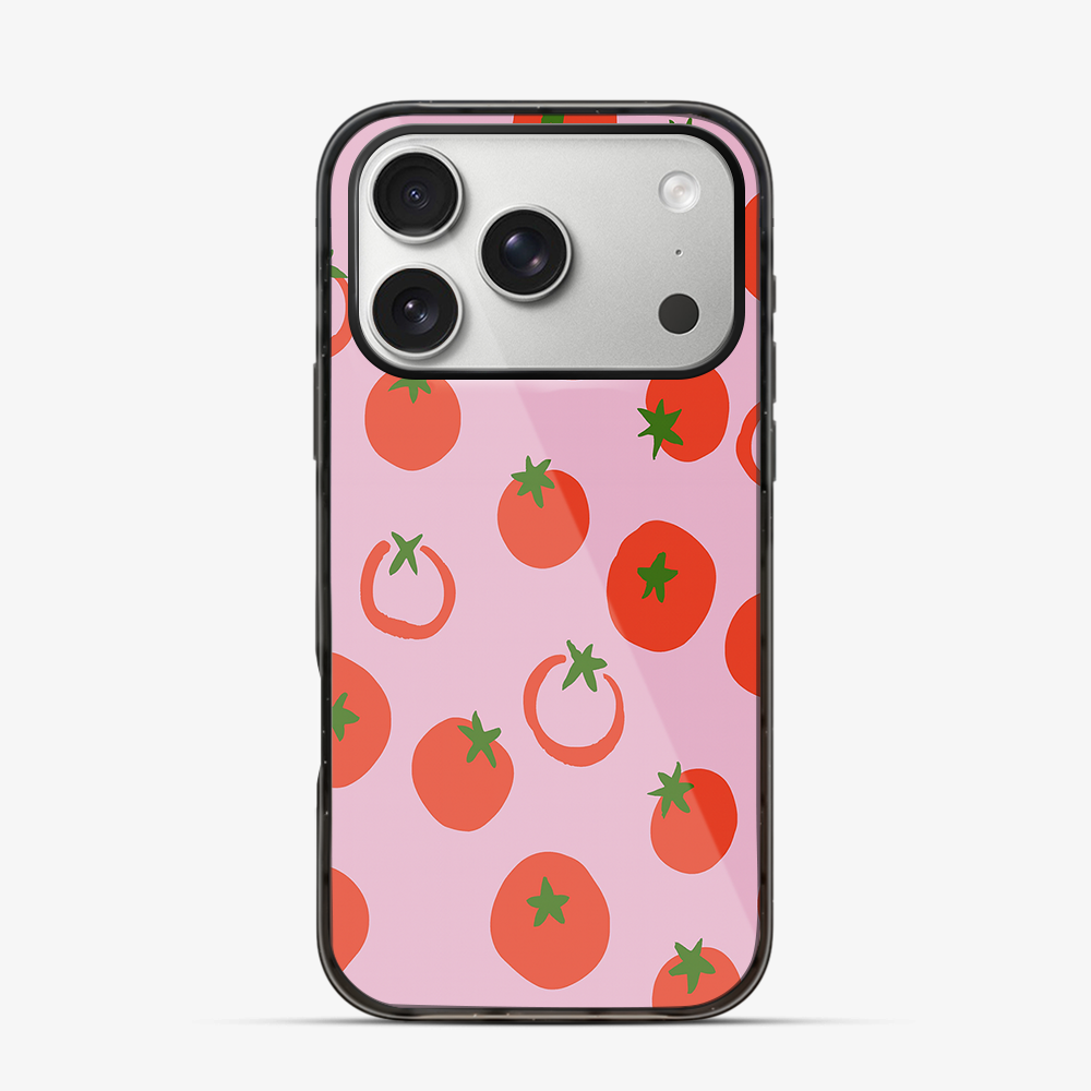 Salsa iPhone 17 Pro Case