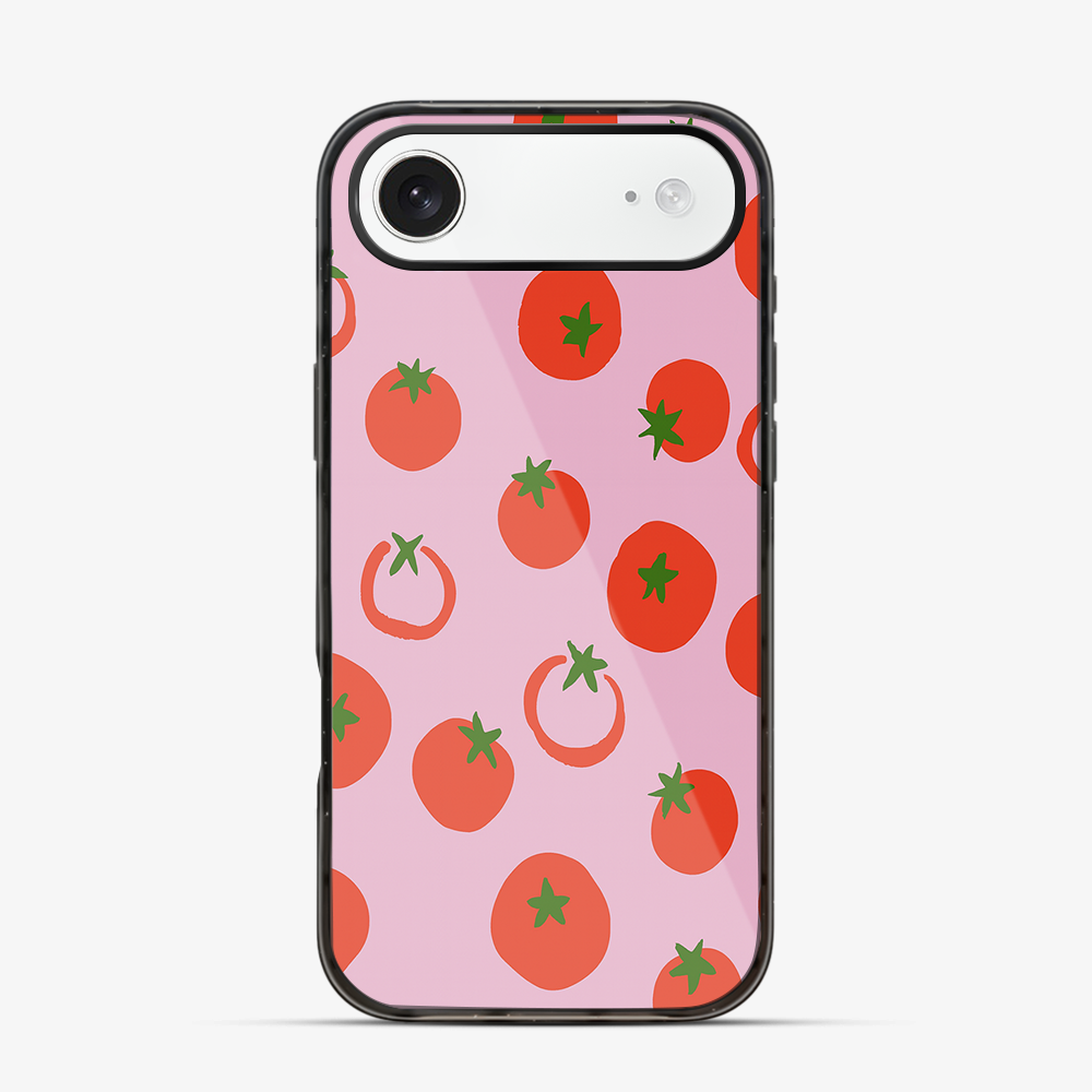 Salsa iPhone Air Case
