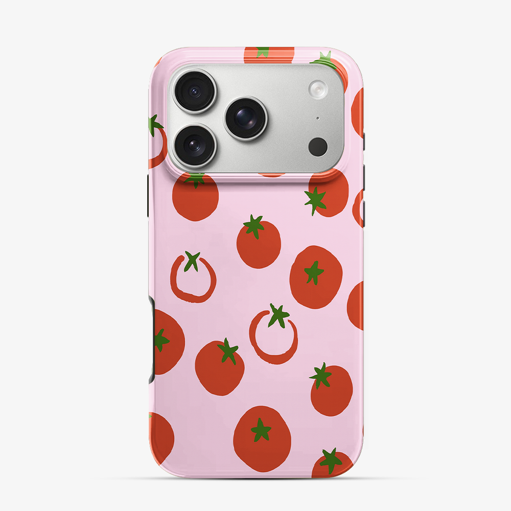 Salsa iPhone 17 Pro Case