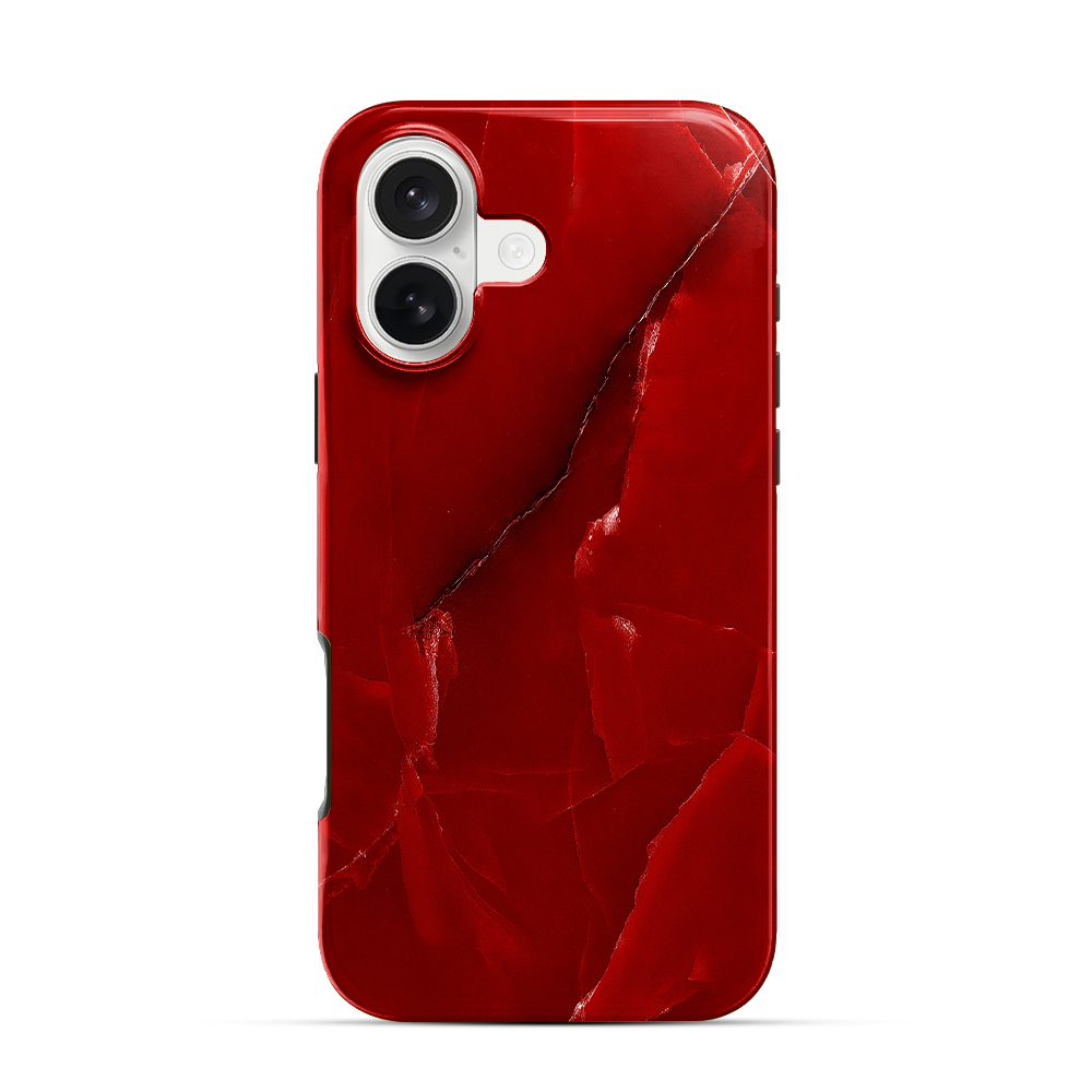 Wild Blaze iPhone 17 Case