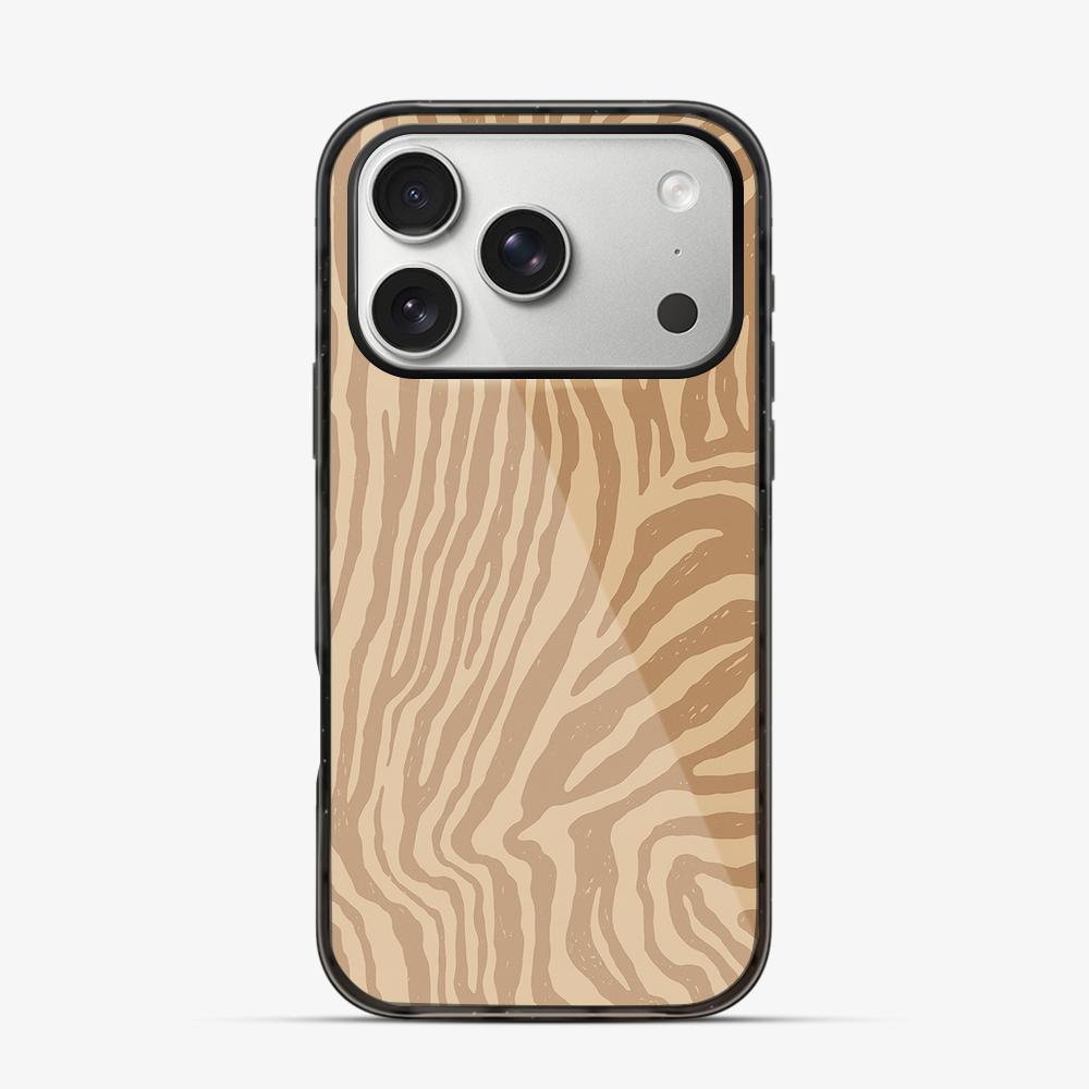 Lasso iPhone 17 Pro Case