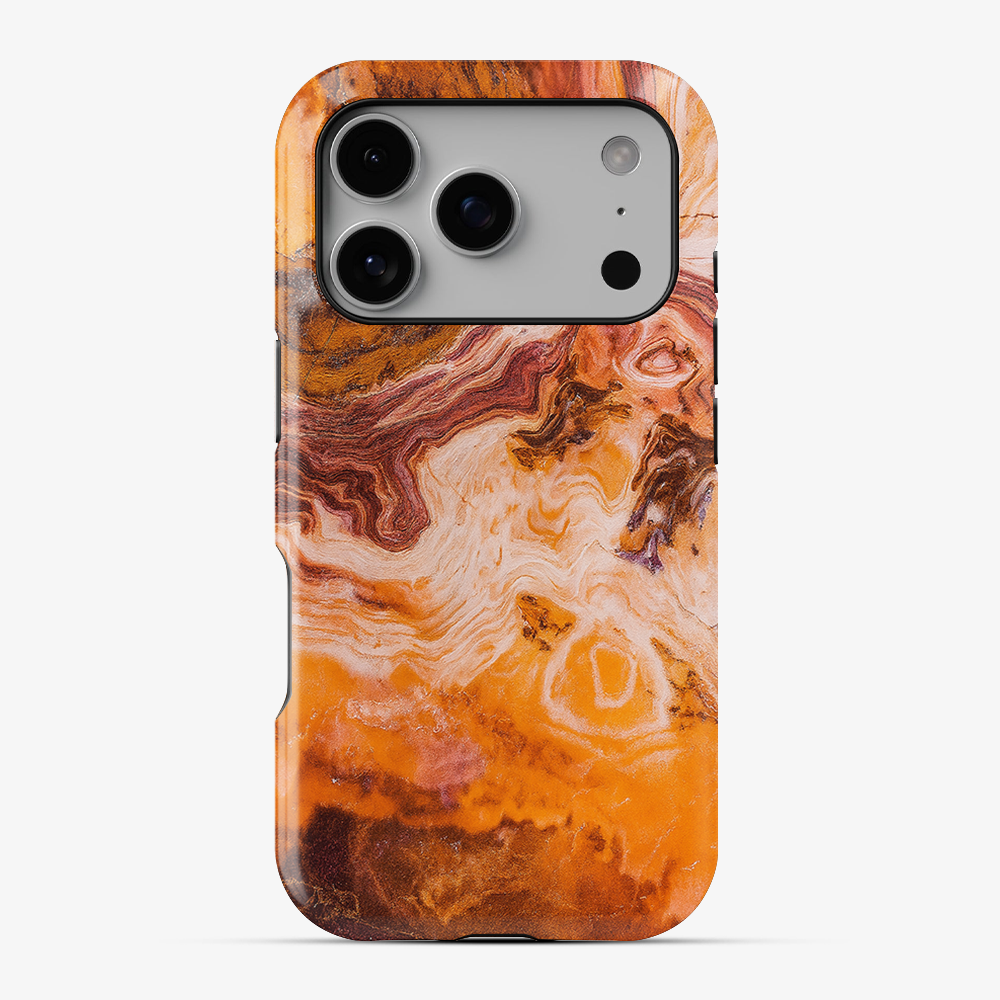 Punkin Spice Phone Case
