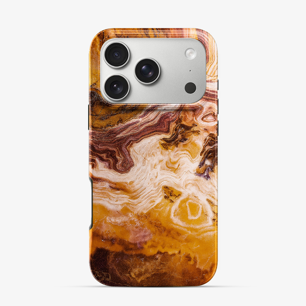 Punkin Spice iPhone 17 Pro Case