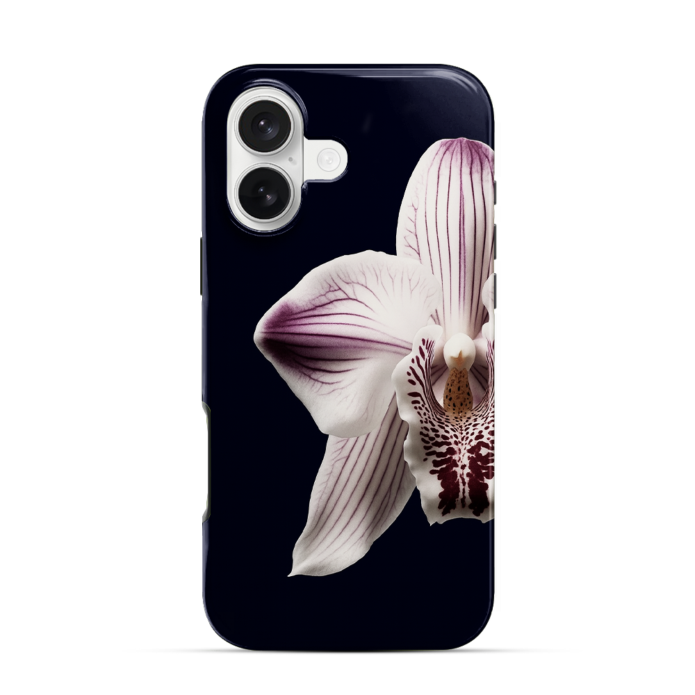Nectar iPhone 17 Case